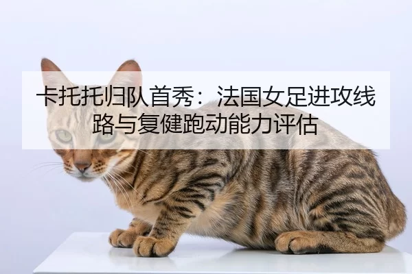 ka-tuo-tuo-gui-dui-shou-xiu-fa-guo-nv-zu-jin-gong-xian-lu-yu-fu-jian-pao-dong-neng-li-ping-gu-2-301.jpg